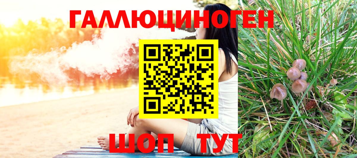 Галлюциногенные грибы GOLDEN TEACHER  как найти закладки  Салехард  Вход с VPN 